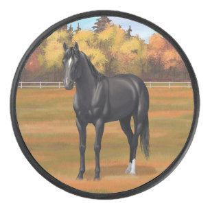 Palet De Hockey Beau Stallion Cheval du Quartier Noir