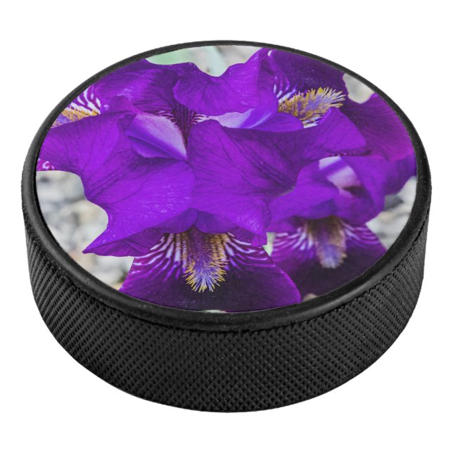 Palet De Hockey Belle iris violet (3/4/2016 12:00:00 AM)