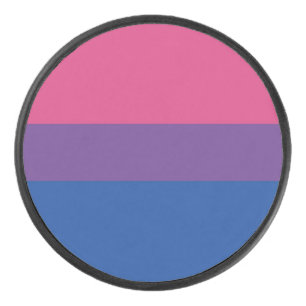 Palet De Hockey Bisexuel