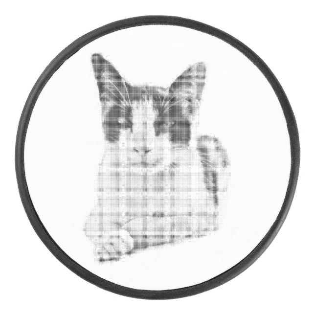 Palet De Hockey Calico Cat Comic Halftone (Devant)