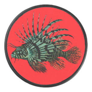 Palet De Hockey Camion de hockey Abstrait de poisson-Lion