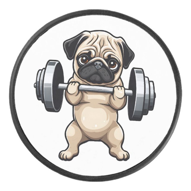 Palet De Hockey Carlin fitness (Devant)