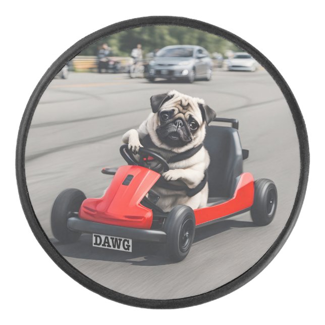 Palet De Hockey course de go-kart carlin (Devant)