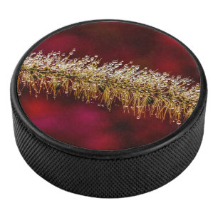 Palet De Hockey Dew du matin