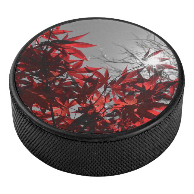 Palet De Hockey Embers of Autumn (3/4/2016 12:00:00 AM)