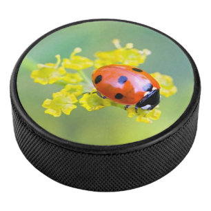 Palet De Hockey femme au sommet