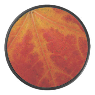 Palet De Hockey Feuille d'érable rouge Abstraite Automne Photograp