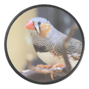 Palet De Hockey Finch