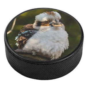 Palet De Hockey Fluffed up riant kookaburra