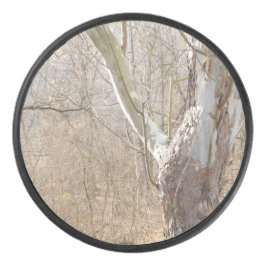 Palet De Hockey forêt hivernale