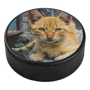 Palet De Hockey Golden Eyes