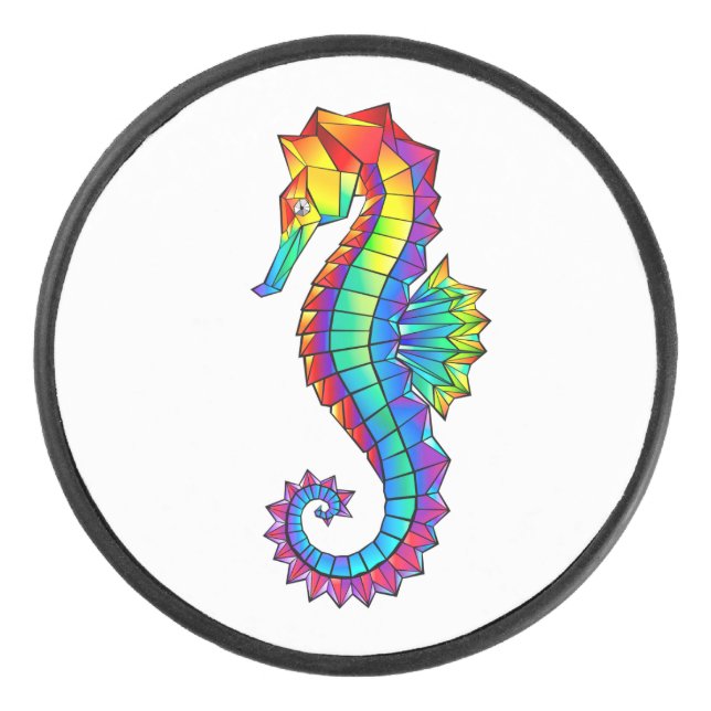 Palet De Hockey Hippocampe polygonal arc-en-ciel (Devant)