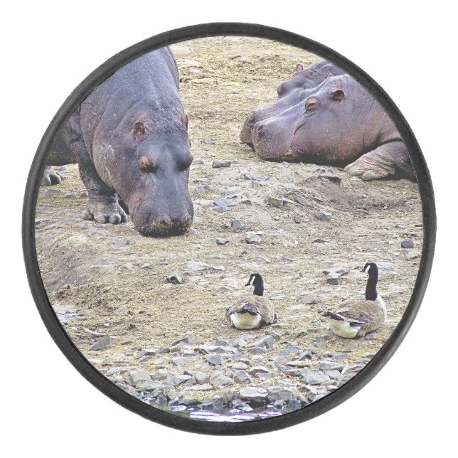 PALET DE HOCKEY HIPPOS (Devant)