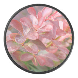 Palet De Hockey Jolies branches roses