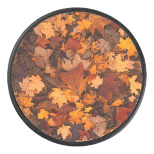 Palet De Hockey l'automne