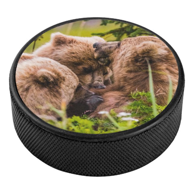 Palet De Hockey Mama bear nourrit ses deux petits, Lake Clark Nati (3/4/2016 12:00:00 AM)