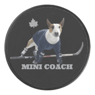 PALET DE HOCKEY MINI COACH
