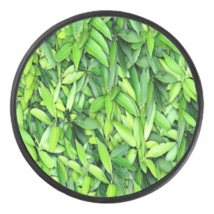Palet De Hockey Motif Feuille verdoyant - Nature Botanique