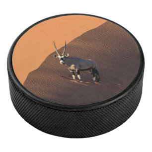 Palet De Hockey Oryx à la limite, Namibie