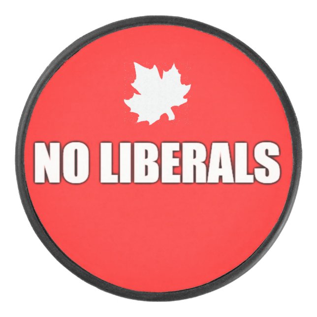 PALET DE HOCKEY PAS DE LIBÉRAUX (Devant)