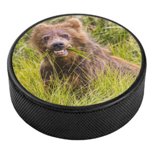 Palet De Hockey Pâturage des petits grizzlis, Alaska