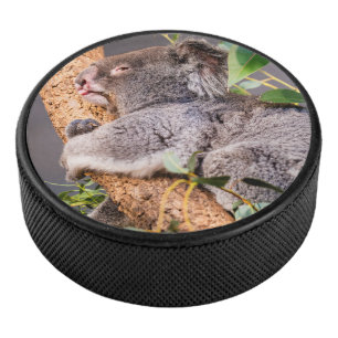 Palet De Hockey Petit koala doux
