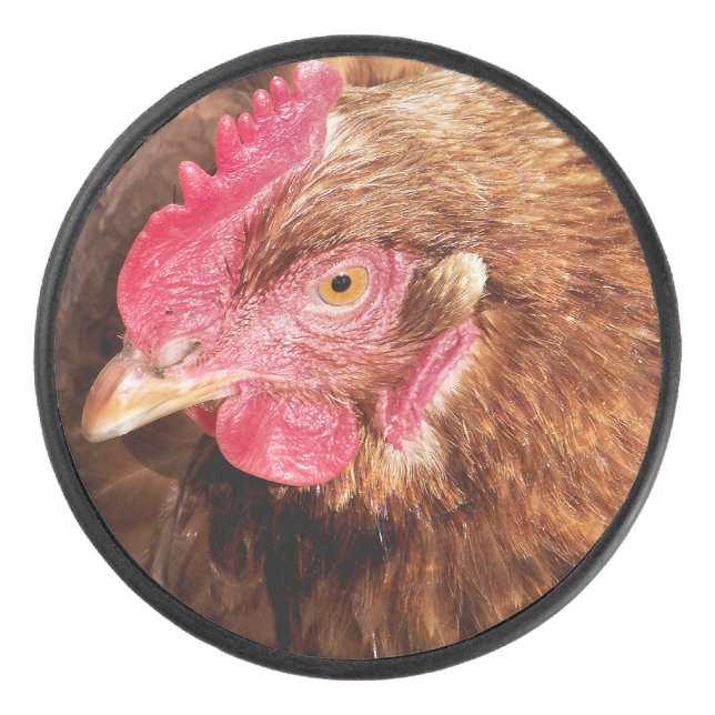 PALET DE HOCKEY POULET CUIT (Devant)