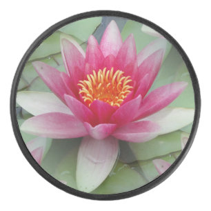 Palet De Hockey Rose Lotus Water Lily