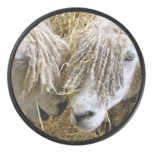 PALET DE HOCKEY SHEEP