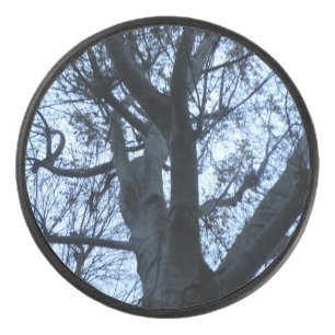 Palet De Hockey Silhouette de l'arbre photo Camion de hockey