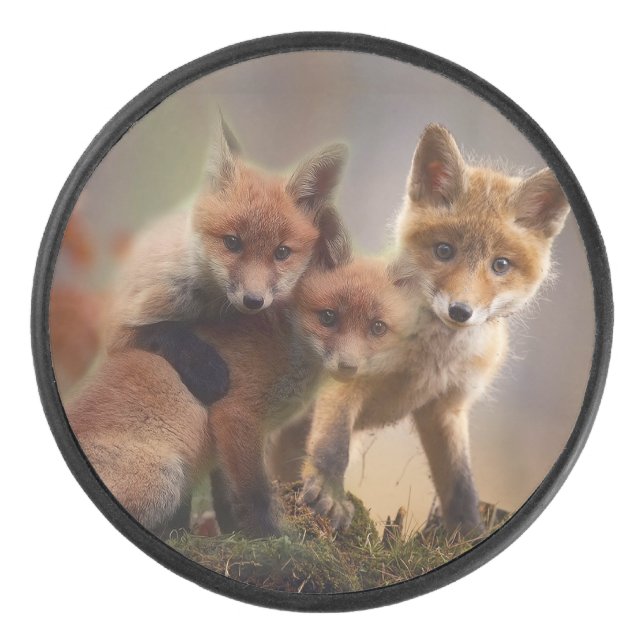 Palet De Hockey Triplets Foxy (Devant)