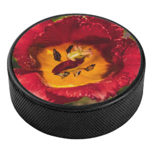 Palet De Hockey Tuliforme rouge