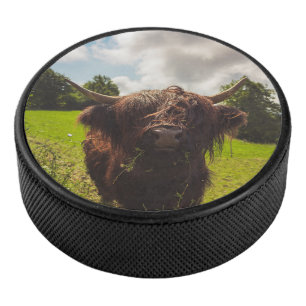Palet De Hockey Vache noire pâturage vert champ soleil