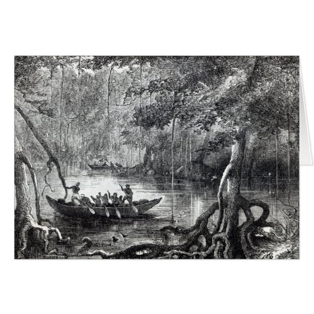 Palétuvier Forest (Devant horizontal)