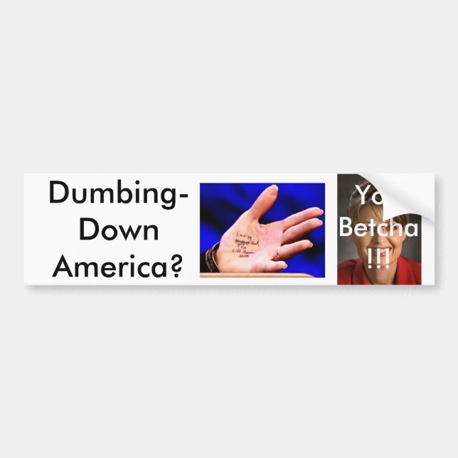 Palin3 Autoaufkleber (Vorne)