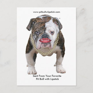 Palin Pit Bull mit Lipstick-Postkarte Postkarte