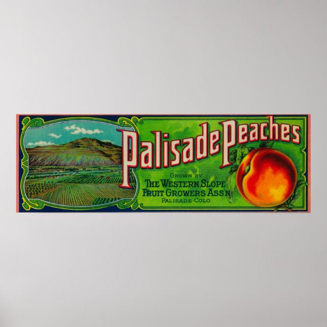 Palisade Peach Poster (Vorne)