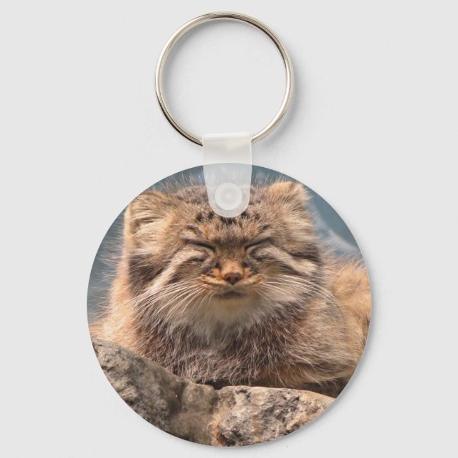 Pallas Cat Schlüsselanhänger (Vorderseite)