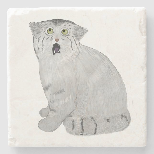 Pallas Cat Stone Untersetzer (Vorderseite)