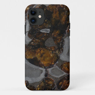 Pallasite title_seo2