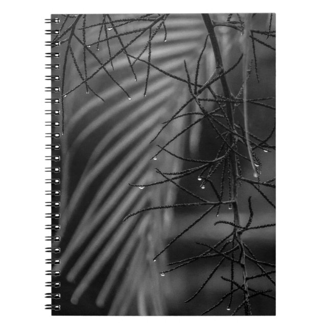 Palm and rain Spiral Photo Notebook Notizblock (Vorderseite)