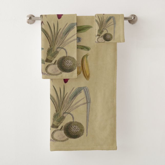 Palm Antique Fruit Tropical Art Botanique (En situation)