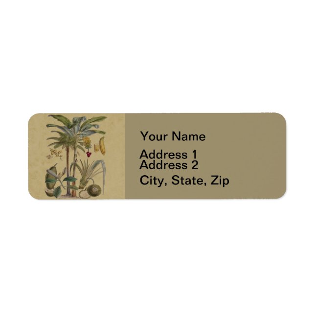 Palm Antique Tropical Frucht Botanische Kunst (Vorne)