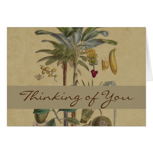 Palm Antique Tropical Frucht Botanische Kunst (Vorderseite (Horizontal))