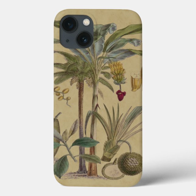 Palm Antique Tropical Frucht Botanische Kunst Case-Mate iPhone Hülle (Rückseite)