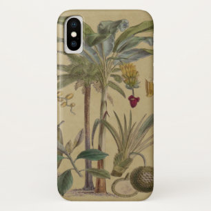 Palm Antique Tropical Frucht Botanische Kunst Case-Mate iPhone Hülle