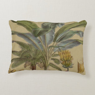 Palm Antique Tropical Frucht Botanische Kunst Dekokissen