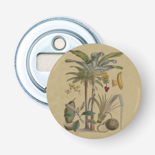 Palm Antique Tropical Frucht Botanische Kunst Flaschenöffner (Vorderseite)