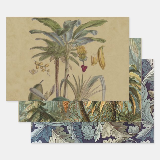 Palm Antique Tropical Frucht Botanische Kunst Geschenkpapier Set (Set)
