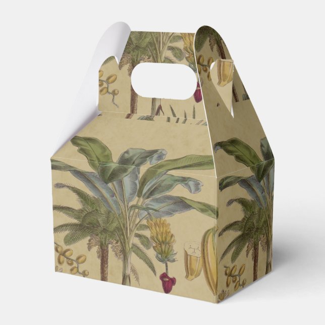 Palm Antique Tropical Frucht Botanische Kunst Geschenkschachtel (Vorderseite)
